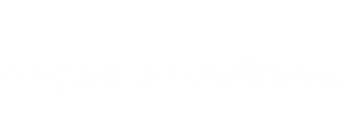 Present Projects
